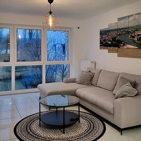 Schoene Und Ruhige Wohnung Direkt An Der Mosel 科布倫茨 外观 照片