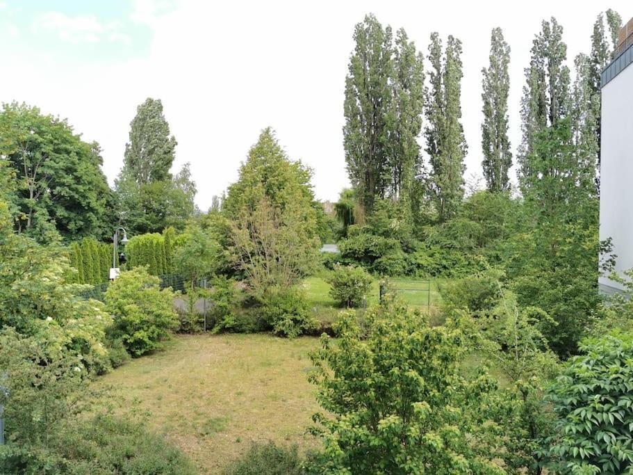 Schoene Und Ruhige Wohnung Direkt An Der Mosel 科布倫茨 外观 照片