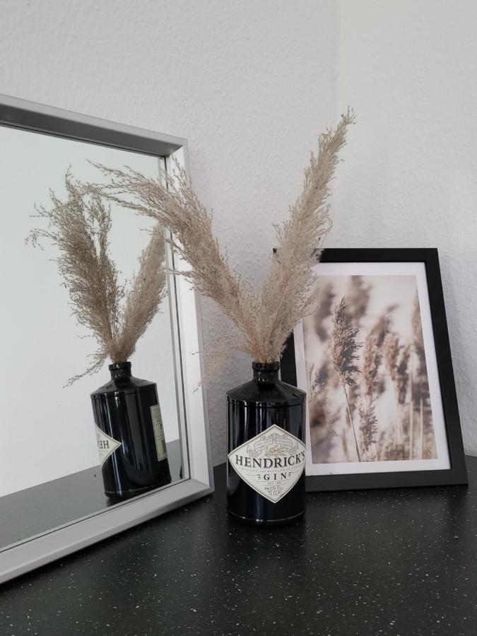 Schoene Und Ruhige Wohnung Direkt An Der Mosel 科布倫茨 外观 照片